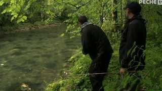 Pêche de la truites aux leurres dans lAin sur lAlbarine [upl. by Ahsimal]