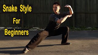 Shaolin Kung Fu Wushu Snake Style Basic Training For Beginners [upl. by Griffie]