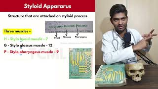 How to Remember Styloid Process Attachment  TCML [upl. by Joacima]