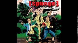 spunge  Centerfold J Geils Band Cover [upl. by Skutchan]