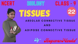 Types Of Connective Tissue  What Is Connective Tissue  Functions Of Connective Tissue [upl. by Elrae]