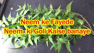 नीम की गोली बनाने की विधि और जाने फायदे Neem ki Goli Kaise Banaye Neem ke Fayede [upl. by Andros]