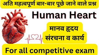 Heart मानव हृदय  and Circulatory System  Biology  General Science  Important Questions  ssc [upl. by Sundberg924]