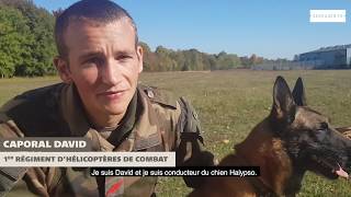 Interview Maître de chien au 132e bataillon cynophile de larmée de Terre 132e bcat [upl. by Coonan381]