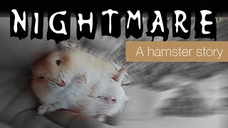 Nightmare After Christmas  Hamster edition [upl. by Sibeal]