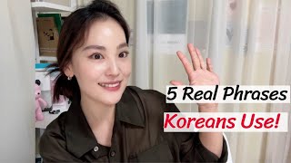 Real Phrases Expressions Koreans Use Everyday Korean [upl. by Euqirrne]