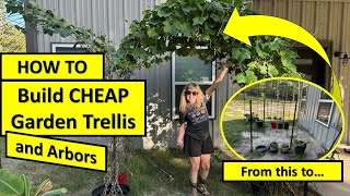 CHEAP Garden Trellis amp Arbors diygarden gardeningideas [upl. by Aloz]