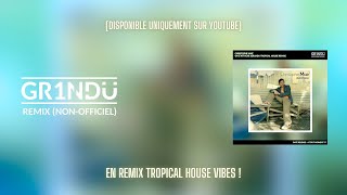 Christophe Maé  On Sattache GR1NDU Tropical House Remix [upl. by Enaht]