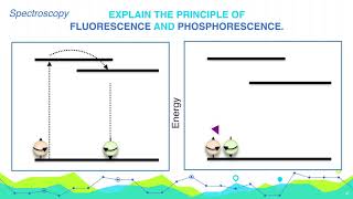 Explain the principle of Fluorescence and Phosphorescence  Analytical Chemistry [upl. by Nerua638]