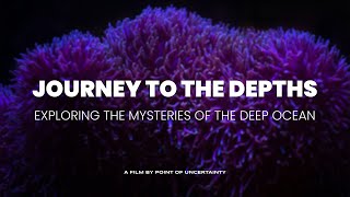 JOURNEY TO THE DEPTHS Exploring the Mysteries of the Deep Ocean [upl. by Nah]