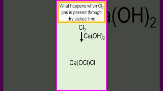 What happens when chlorine gas is passed through dry slaked lime chemistry [upl. by Notsuoh]