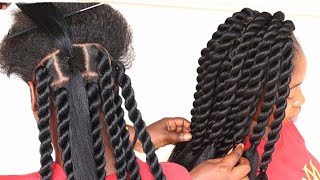 Easy and Gorgeous braid hairstyle for natural hair on budget [upl. by Aldridge]