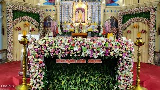 Ave Maria  Velankanni Shrine  Showers of Blessings  Mother Mary Feast 💐❤ [upl. by Curhan]