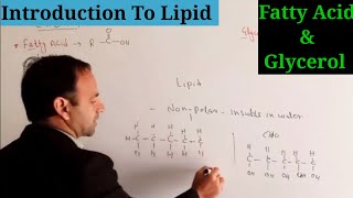 Introduction to Lipid  Fatty acid  Glycerol  Biological Molecules class 11 [upl. by Brand]