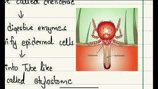 Scrub Typhus Risk factors clinical features diagnosis treatment amp prevention [upl. by Yruoc549]