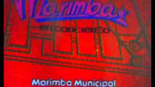 Musica Clasica en Marimba [upl. by Eentruok]