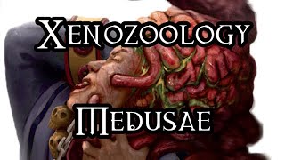 Xenozoology Medusae  40K Theories [upl. by Rubliw]