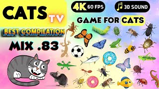 CAT TV  MIX 83🐁 🐠 🐞 ULTIMATE Game Compilation 😻 3 HOURS CATS TV [upl. by Diandre]