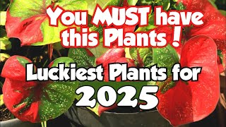 Top 18 Lucky Plants for 2025  Health Wealth amp Prosperity luckyplants [upl. by Anelav]