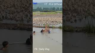 Fishing Life  Fishing Time  Fishing Vlog  FLV Official  Ep 10 [upl. by Harvard]