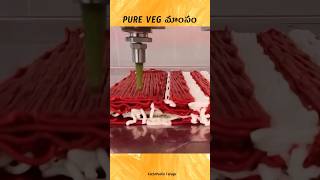 🤯🤯🤯 Pure Veg Meat Printing in Netherland in Telugu  facts [upl. by Annabella546]