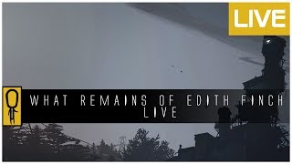 Late Night Vibes  Edith Finch LIVE [upl. by Quintin801]