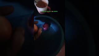 Srilanaka coconut 🥥 sambola 🥥😘🤙 cooking asmr srilanka willdish willdcookbook 👏 music [upl. by Naillij]