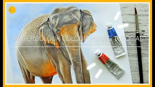 WATERCOLOUR colour MIXING Tutorial Part 2 NEUTRALS amp BROWN from COMPLEMENTARY colours  Elephant [upl. by Aicineohp]