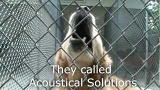 Dog Kennel Quieted by AlphaSorb Acoustical Panels [upl. by Nilya]