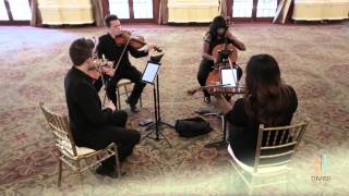 Paradise  Coldplay String Quartet Cover [upl. by Urban177]