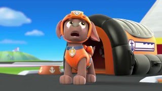 Ready Race Rescue Sneak Peek 🏎️ PAW Patrol  Nick Jr [upl. by Kramlich803]