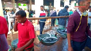 Cox’s Bazar Fisheries Ghat [upl. by Gnud]