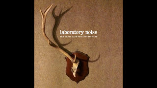 Laboratory Noise  Rooks [upl. by Aidekal]