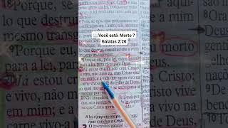 📖CRUCIFICADOS em Cristo Jesus Você já Morreu para o MUNDO❓🕊bibliasagrada versículobíblico jesus [upl. by Ocramed]