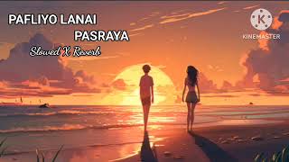 Fapliyo Lanai Pasraya  Bodo song 2024  BodoOnly [upl. by Yrellam]