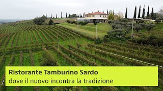 Al Tamburino Sardo il nuovo incontra la tradizione e l’Italia guarda al mondo [upl. by Beitris]