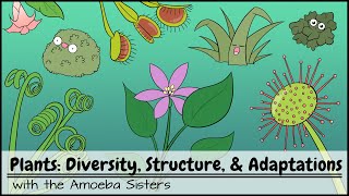 Plants Diversity Structure amp Adaptations [upl. by Eserehs]