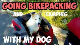 More Bikepacking And Camping With My Dog [upl. by Silevi849]