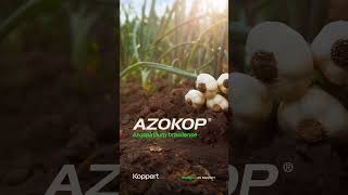 AZOKOP 💚 Formulado con 𝘼𝙯𝙤𝙨𝙥𝙞𝙧𝙞𝙡𝙡𝙪𝙢 𝙗𝙧𝙖𝙨𝙞𝙡𝙚𝙣𝙨𝙚 [upl. by Anirual20]