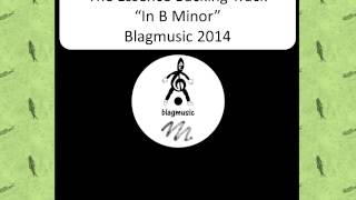 The Essence  Hip Hop Backing Track in B Minor 2014 NRS 55 [upl. by Eneluqcaj287]