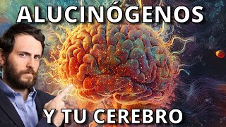 Así Cambian Tu Cerebro los Alucinógenos [upl. by Chrissy]