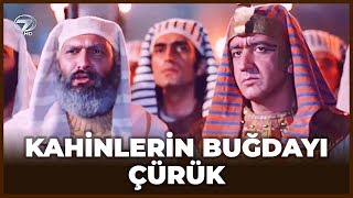 Tapınak Rahipleri REZİL Oluyor Artık İtibarları Sıfır  Hz Yusuf 31 Bölüm [upl. by Dnilazor]