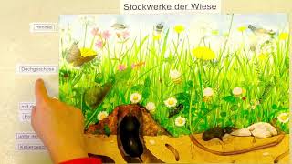 Stockwerke der Wiese [upl. by Ahsima]