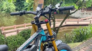 KETELES K800 Pro 2000W Dual Motor Fat Tire Electric Bike  Full Suspension OffRoad EBike Review [upl. by Adnirim]