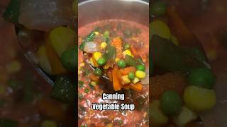 The BEST Winter Soup 🍲 shorts canningandpreserving canning vegetablesoup winter pantry yum [upl. by Yenrab734]