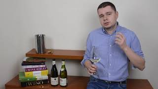 12  Chablis vs PouillyFuissé  BURGUNDIA  NASZ ŚWIAT WIN [upl. by Vasya191]