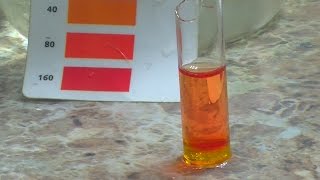 How To REMOVE NITRATES INSTANTLY Aquarium Technique [upl. by Anos182]