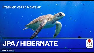 Hibernate Pratikleri ve Püf Noktaları [upl. by Aynos]