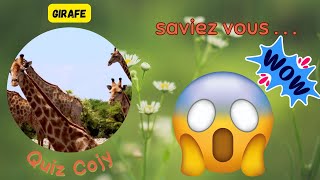 SavaisTu Culture générale Quizz Cojy Le Règne Animal  Préparezvous à Être Surpris [upl. by Zetrauq571]