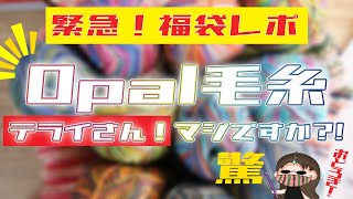 【福袋レポ】Opal毛糸が1玉実質税別1100円！ [upl. by Bocyaj806]